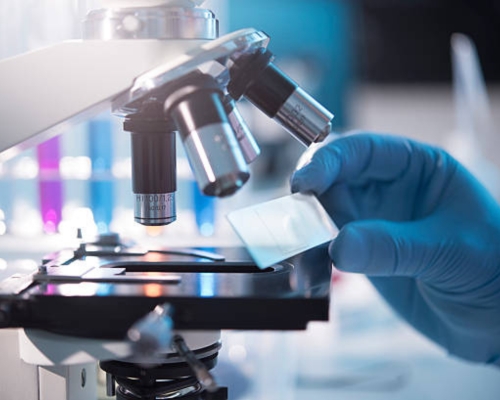 Forensic Pathology Forensic Pathology
