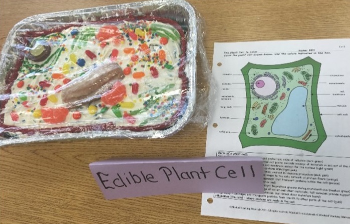 edible plant cell. 