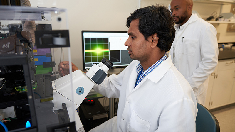 a doctor runs a test on a computer